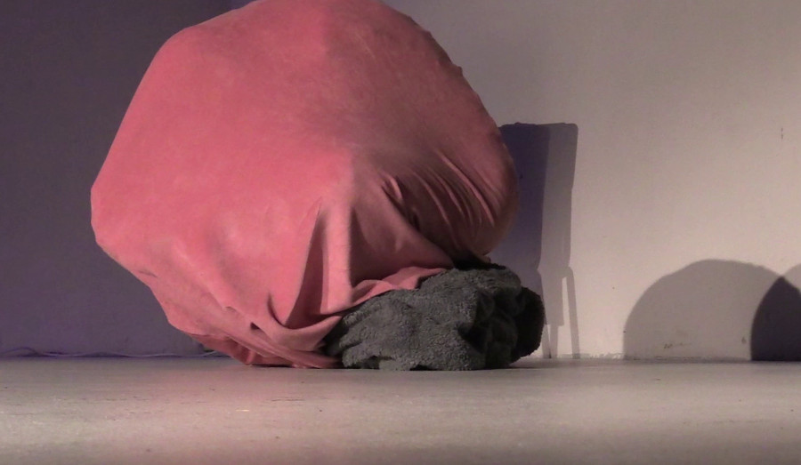 Exploration, Performance, 2022