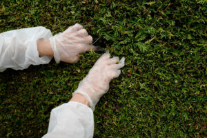 Mehr über den Artikel erfahren Himmel und Hecke: Eröffnung im Kunst-Quartier des BBK Osnabrück am 5. Mai 2023