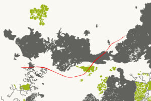 Mehr über den Artikel erfahren Tag der Druckkunst: Ausstellungseröffnung im Kunstverein zu Rostock am 12. März 2025