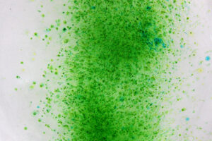 Read more about the article Metabolat – Artistic scientific research on marine transformation processes: Exhibition programme starts on 11 July 20
