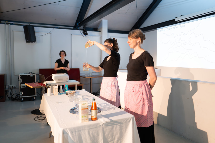 Ansicht Lecture Performance