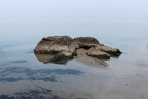 Mehr über den Artikel erfahren Contact-Jam in Greifswald am 27. März 2026